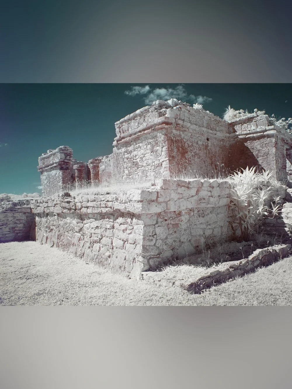 Fujifilm X100V with Infrared SuperColor Conversion